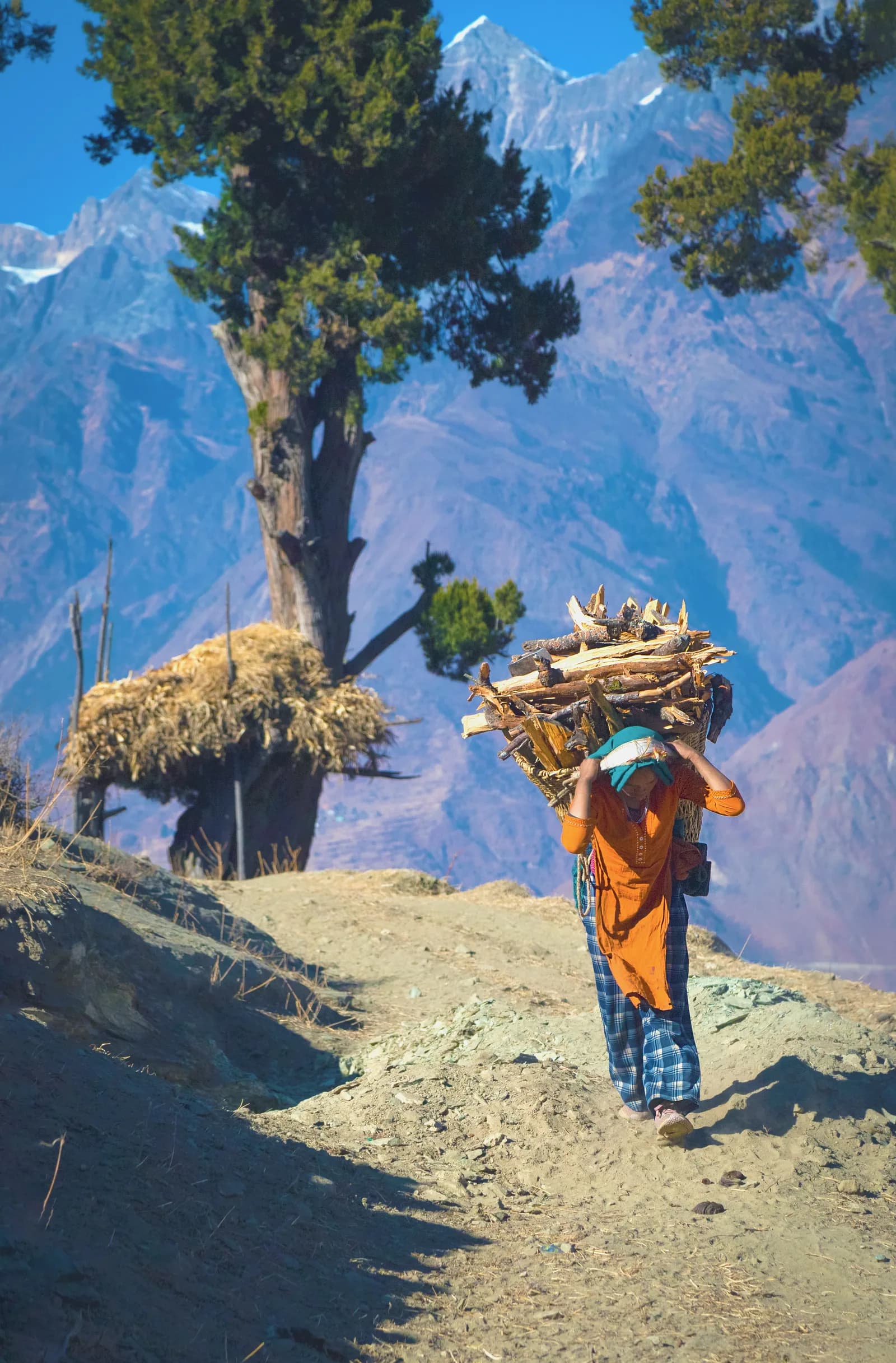Brahmatal Trek 5N/6D from Lohajung