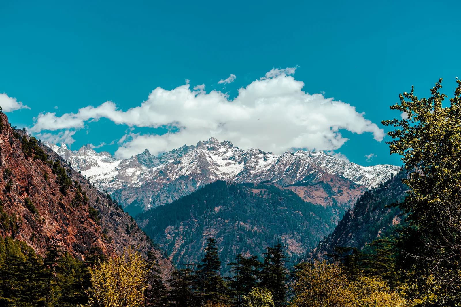 Nature Adventure Camp in Kanakpura